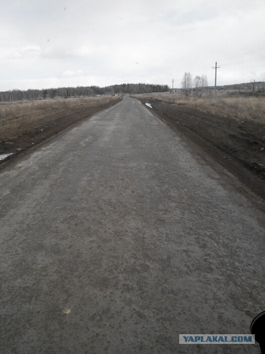 Озеленение Владивостока.
