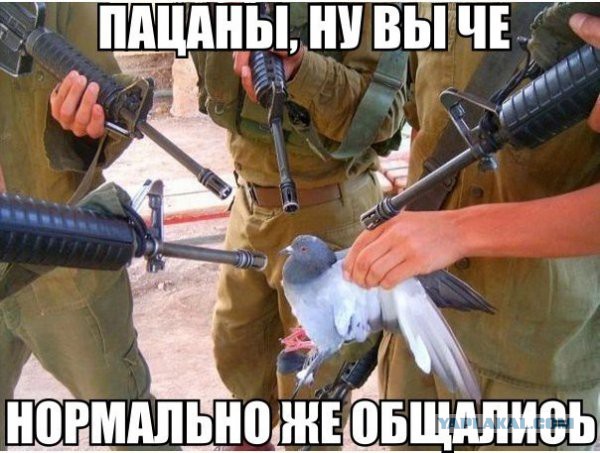 Распространенные мифы из боевиков