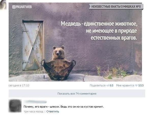 Комменты из соцсетей