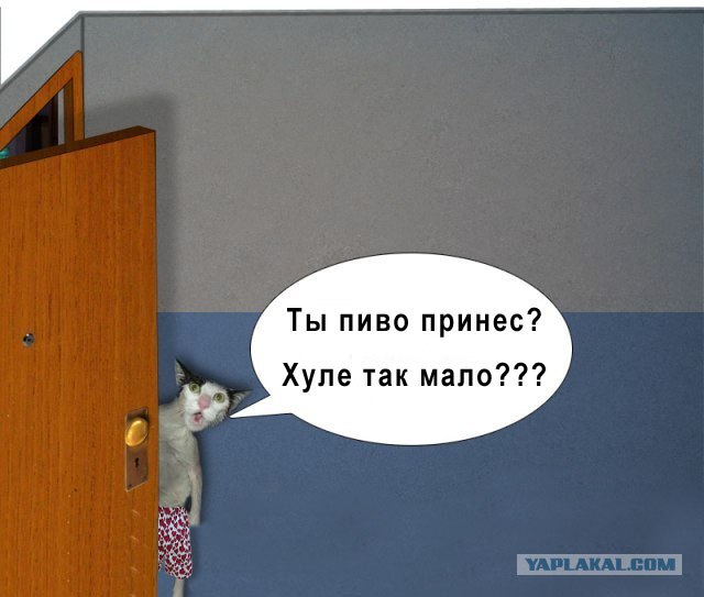 Фотожаба: чё те надо?