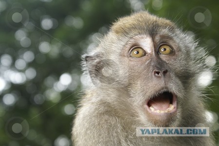 Обама назвал Россию самой опасной страной в мире