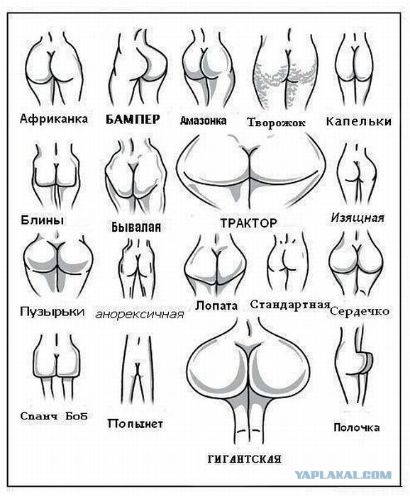 Дорога из Киева и из Москвы в Ялту.