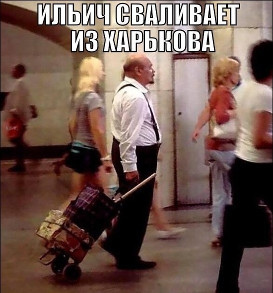 Подборка весёлых картинок