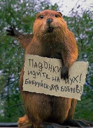 Веселые картинки