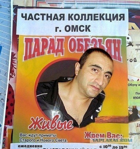 Весёлое из сети