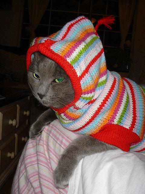 Весёлые картинки