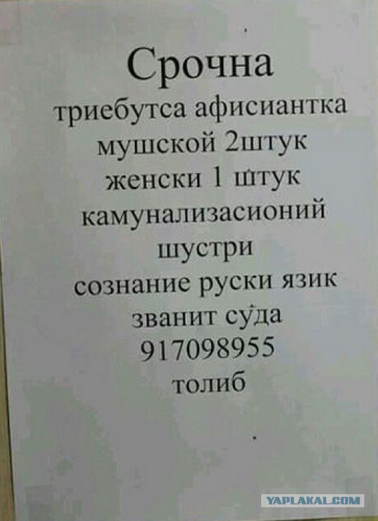 Прикольные надписи и объявления
