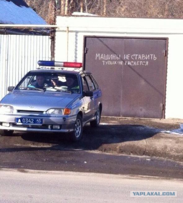 Картинки из сети