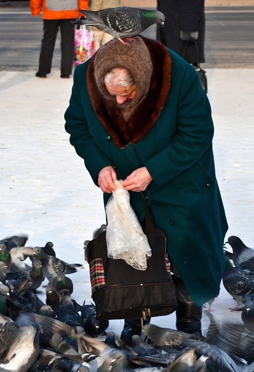 Наглые пернатые морды