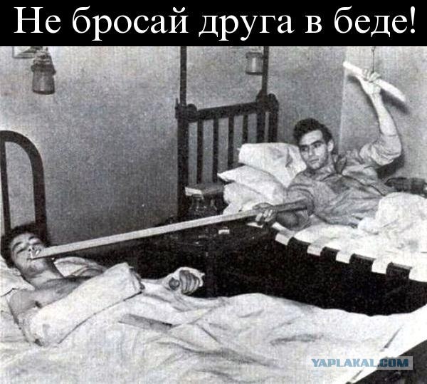 Друг не бросит в беде.