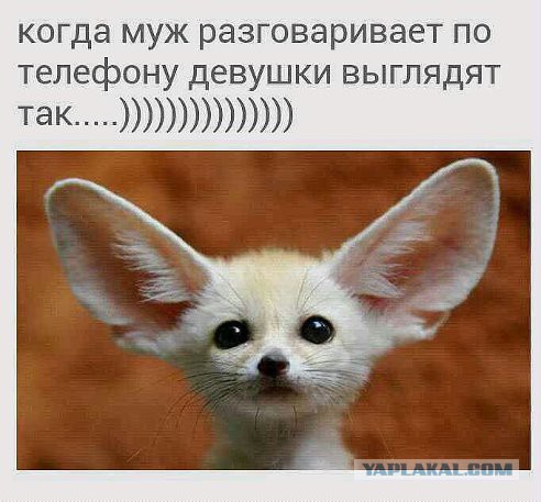 О женских форумах