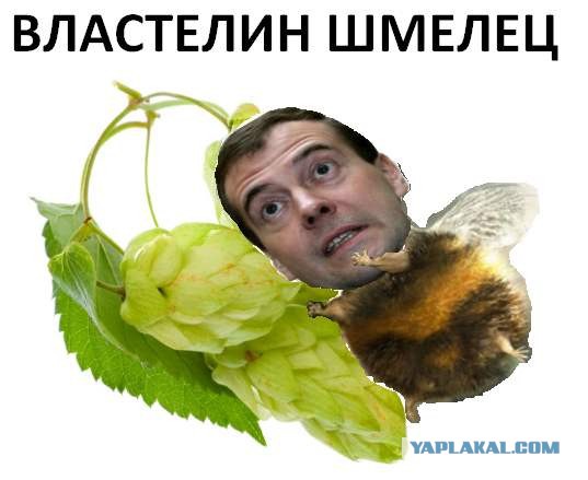 Дихромат, трихромат, тетрахромат...
