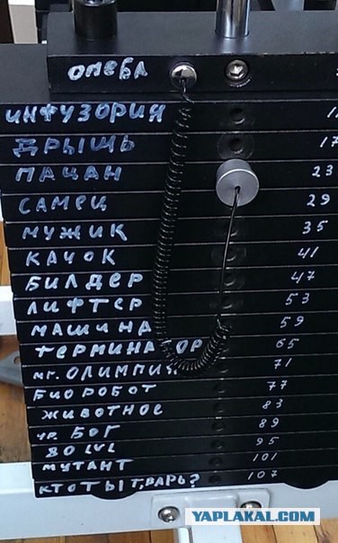 Картинки