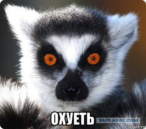 Почему американские штаты так называются
