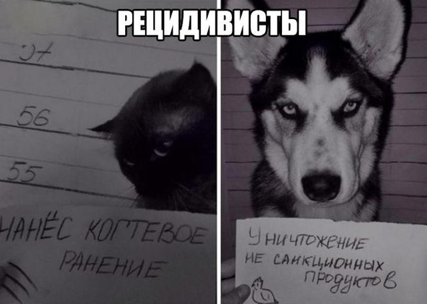 Ужасы и приколы из соцсетей 18+