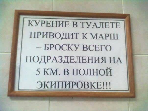 Картинки  из сети