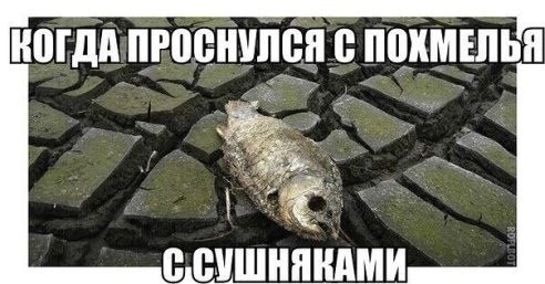 Картинки на пятницу