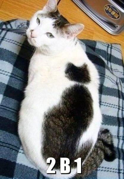 А давайте улыбнёмся