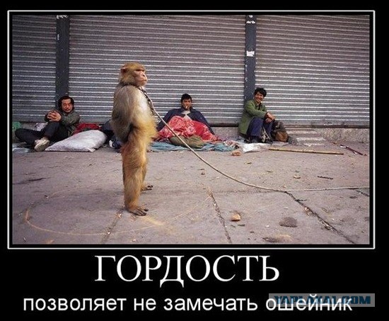 Абсурдный юмор ч.7