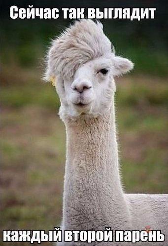 Очередная подборка картинок из сети