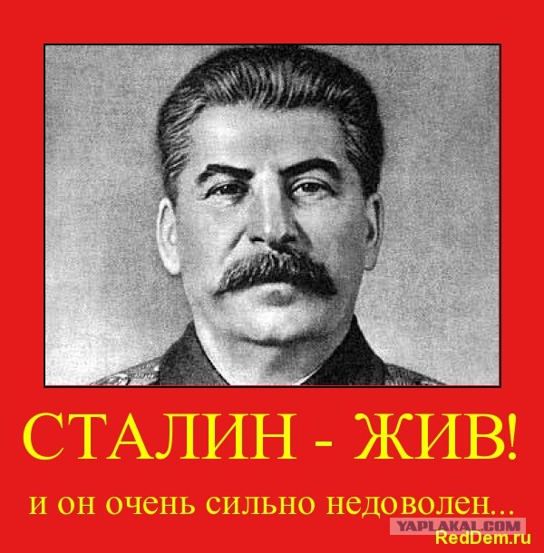 Чтобы в Вас не стреляли - сидите дома!