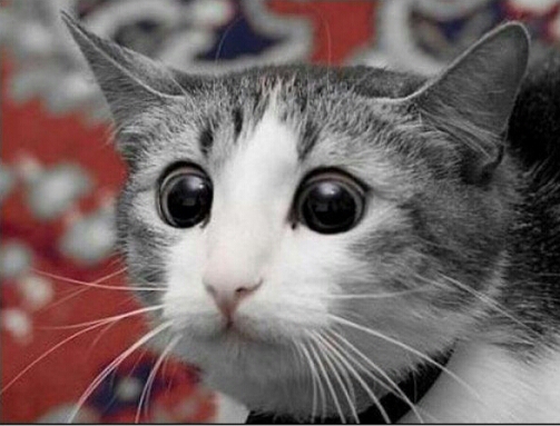 Подборка картинок 17.02.16