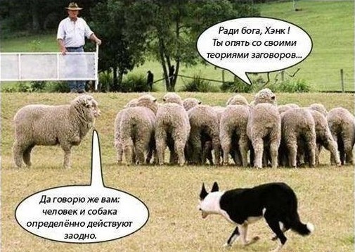 Автопробеги в России официально стали считаться демонстрациями