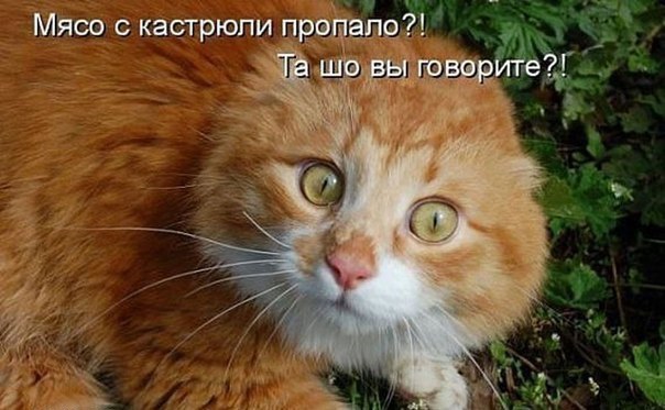 Пост негодования