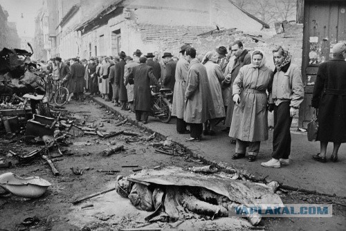 Разоблачение мифов о венгерском мятеже 1956 г.