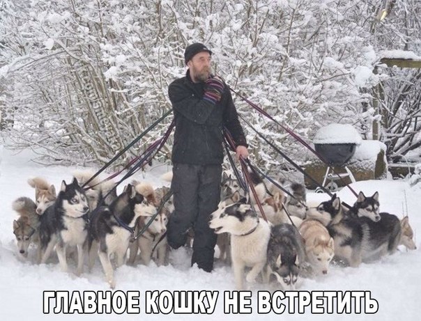Подборка разного из сети