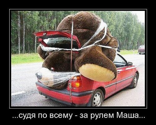 Немного картинок