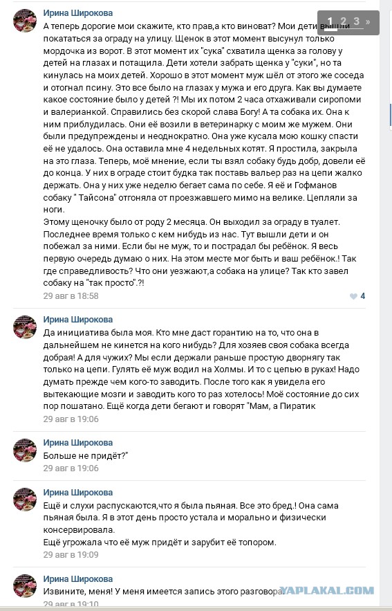 В Кулаково муж и жена зарубили топором соседскую собаку 18+