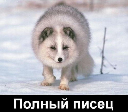 Геббельс был бы доволен