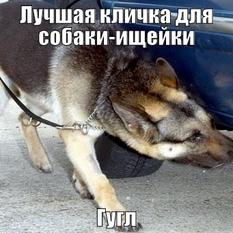 15 картинок с надписями на разные темы