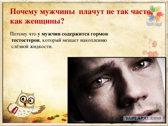 Жена спалила