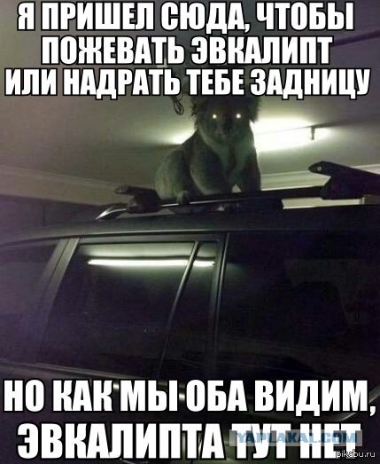 Конкурс мокрых футболок в австралийском ночном клубе