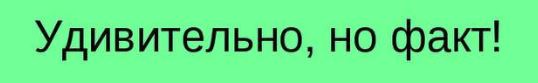 Они плевали на Родину, на День Победы и на отдавших кровь за нашу жизнь!
