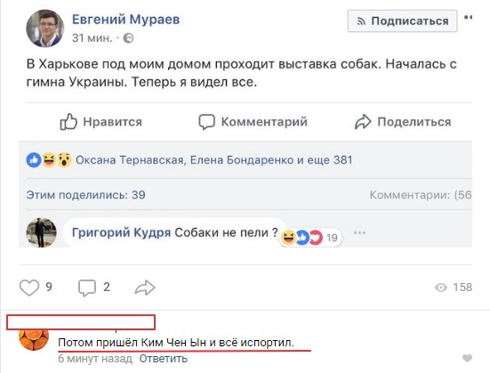 Смешные комментарии из социальных сетей 25.05.2018