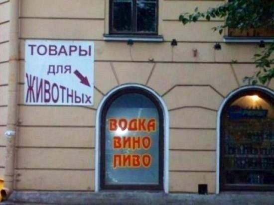 Слайды обо всем. Интересные, веселые, разные. 17.07.2018
