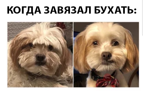 Немного картинок в эту субботу