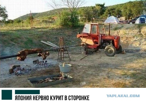 Немного картинок в этот вторник