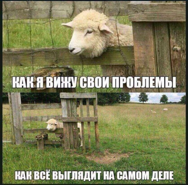 Немного картинок в этот четверг