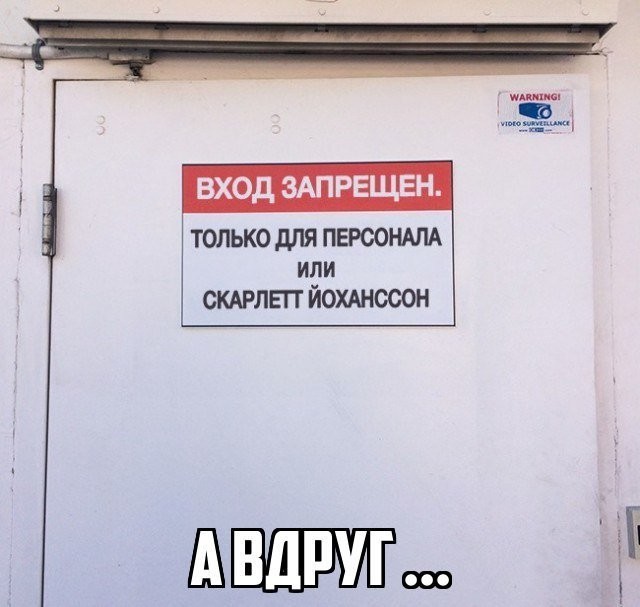 Лента прикольных картинок