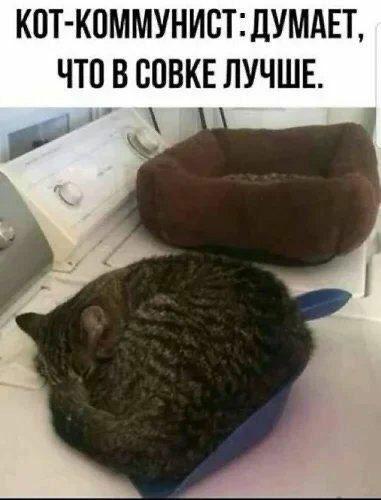 Всё что нужно знать о СССР