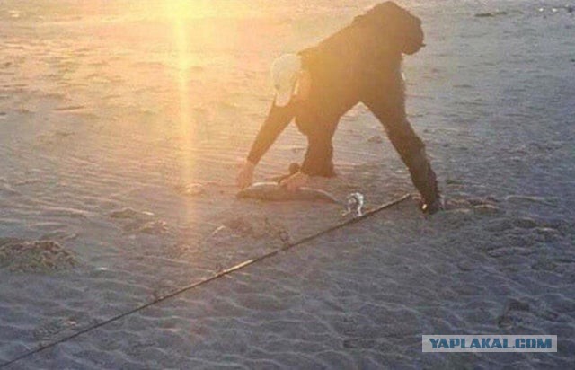 16 фотографий, которые ракурс и перспектива превратили в настоящие ребусы для глаз