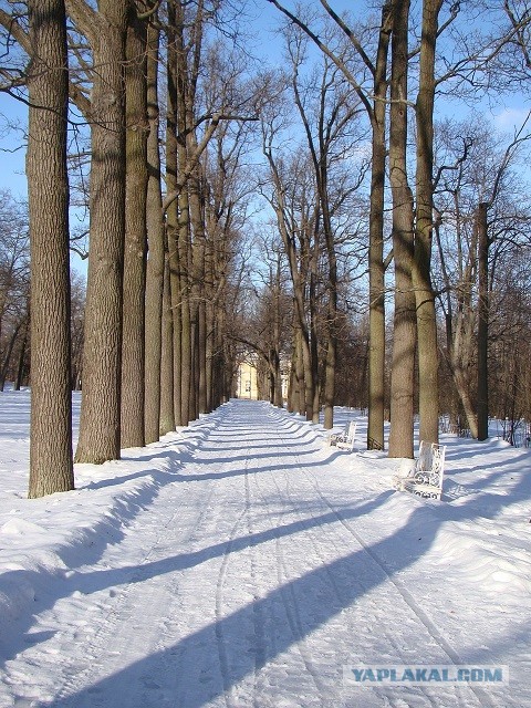 Американская Луна