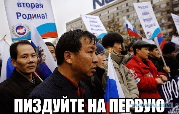 Путин призвал регионы проводить социальную адаптацию мигрантов