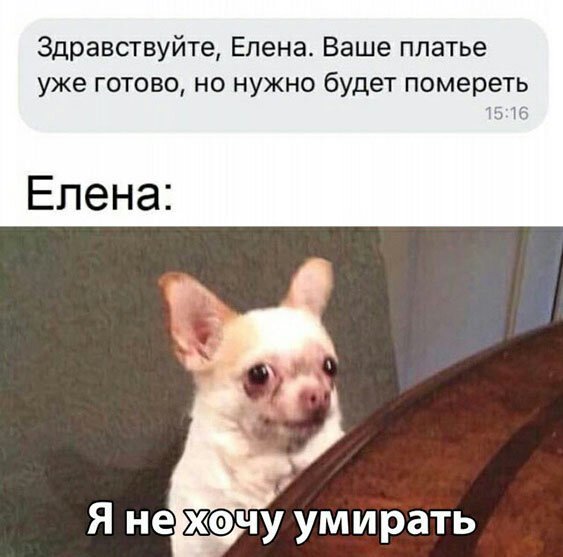 Пара-пара-пам! Фьють