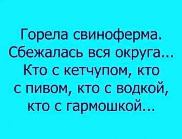 Чуток картинок 19.04.20