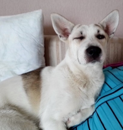 Давайте делиться фотками прошедшего дня